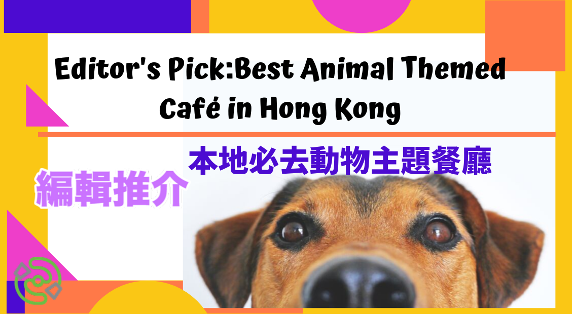 Editor’s Pick : Best Animal Themed Cafés in Hong Kong | Whizpa