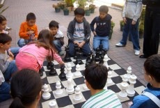 Activekids Diocesan Boys School Primary Division Kids Chess Class Hong Kong Chess Camp