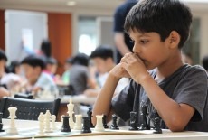 Activekids YMCA Tsim Sha Tsui Kids Chess Class Hong Kong The Chess Academy