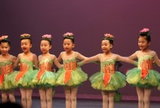 Da Di Mandarin Arts Education Center Wong Chuk Hang Chinese Dance